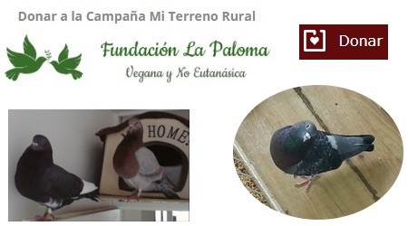 Campaña urgente mi terreno rural del refugio La Paloma
